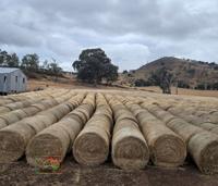 Lot 140